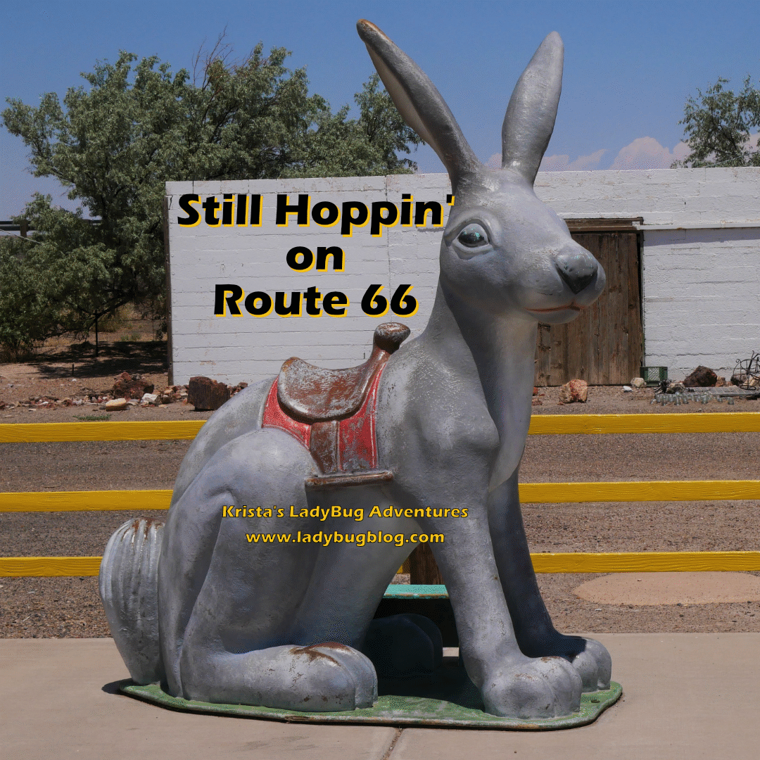 Route 66 Rabbit Jack Rabbit Trading Post - Arizona | LadyBug Blog