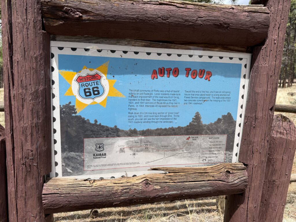 Being a Backyard Tourist | LadyBug Blog