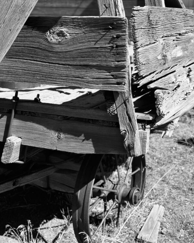 Fall Festival at Golden Sage Farm today, 10/15/2023. Had fun taking photos in both color and black/white.
@goldensagefarm 
.
.
.
.
.
#goldensagefarm #fallfestival #fallinflagstaff #vintagefarmequipment  #flagstafffarm
